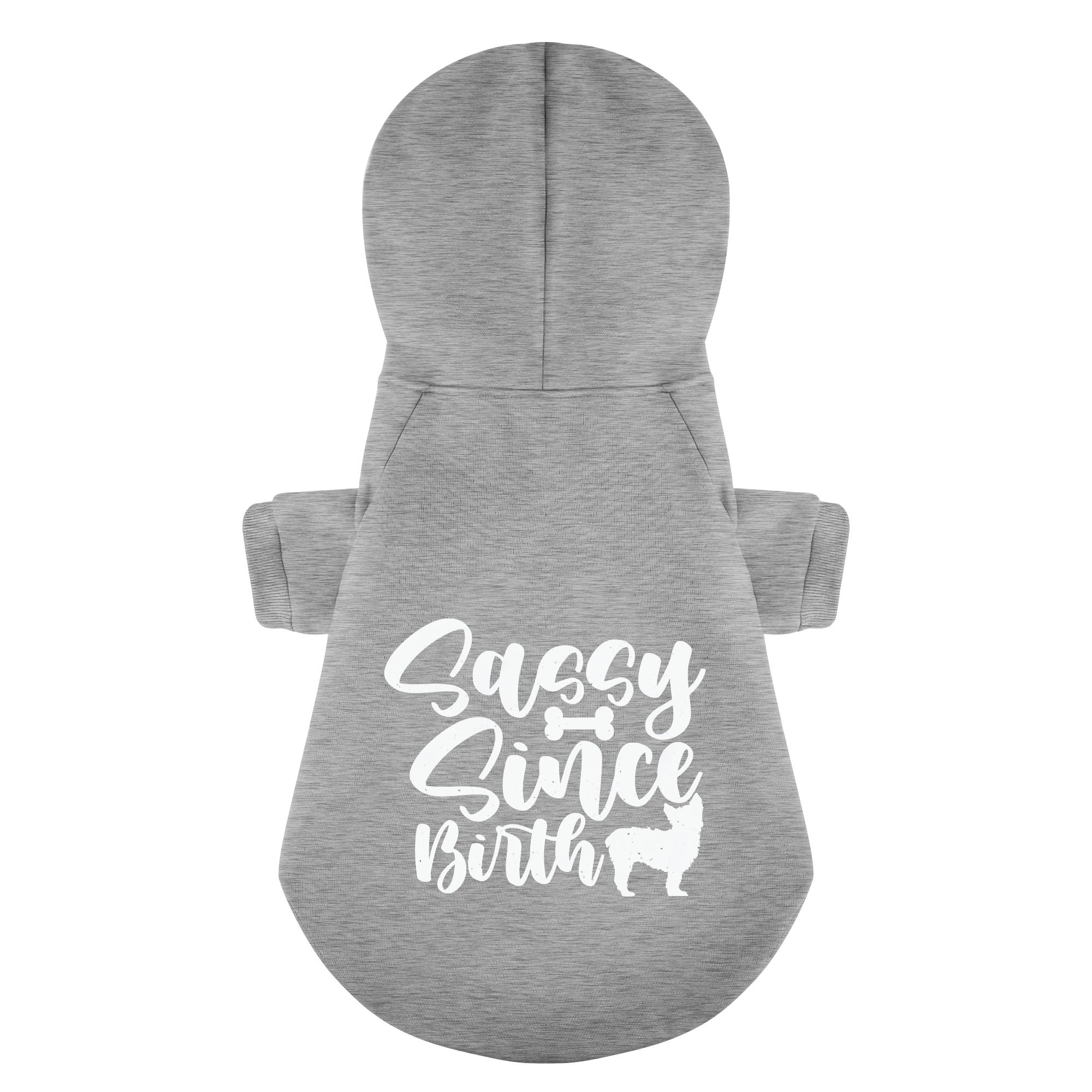Sassy Since Birth - Yorkie Hoodie - Dog Clothes
