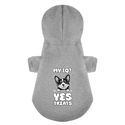 My IQ? Yes, Treats - Corgi Hoodie - Dog Clothes