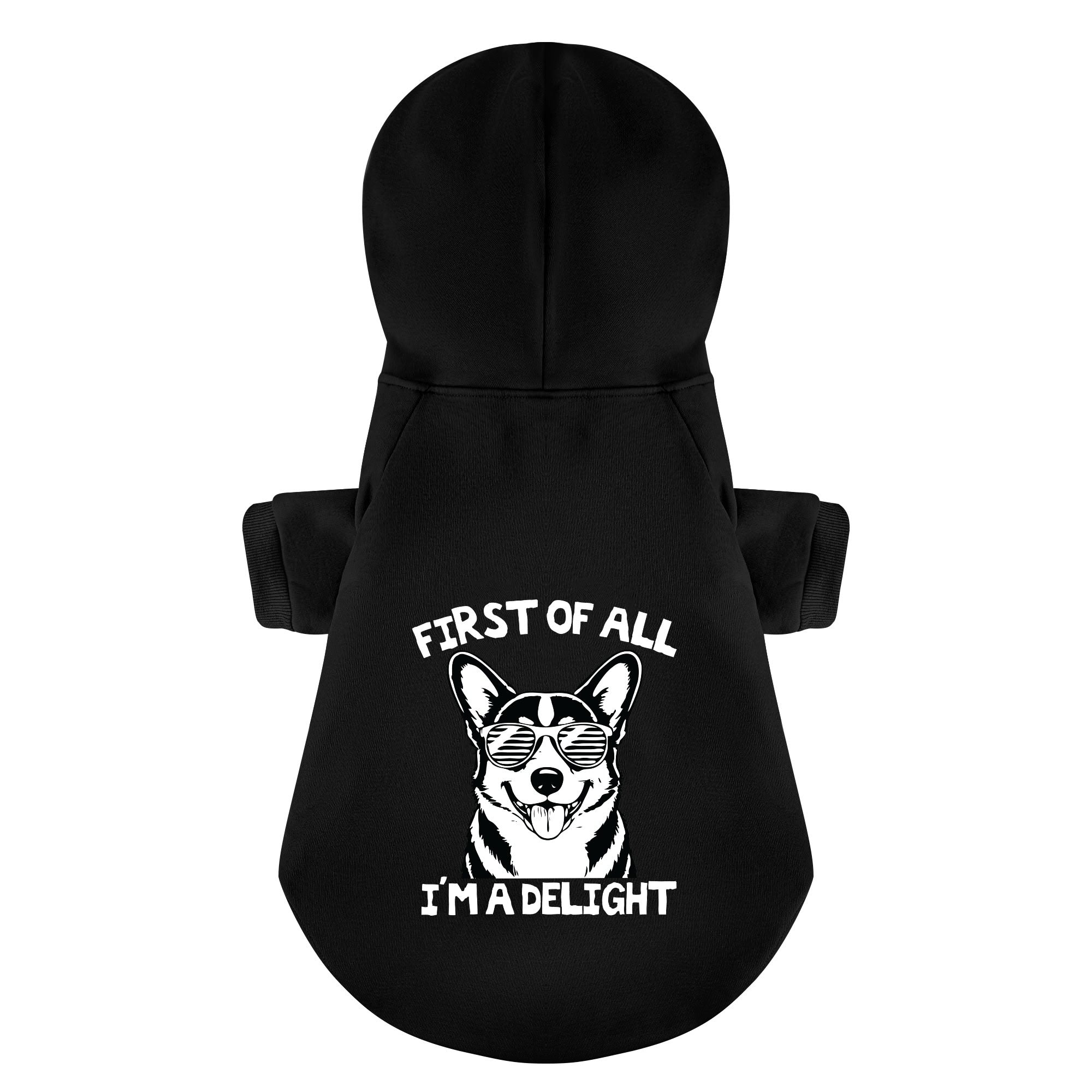 FIRST OF ALL I'M A DELIGHT - Corgi Hoodie - Dog Clothes