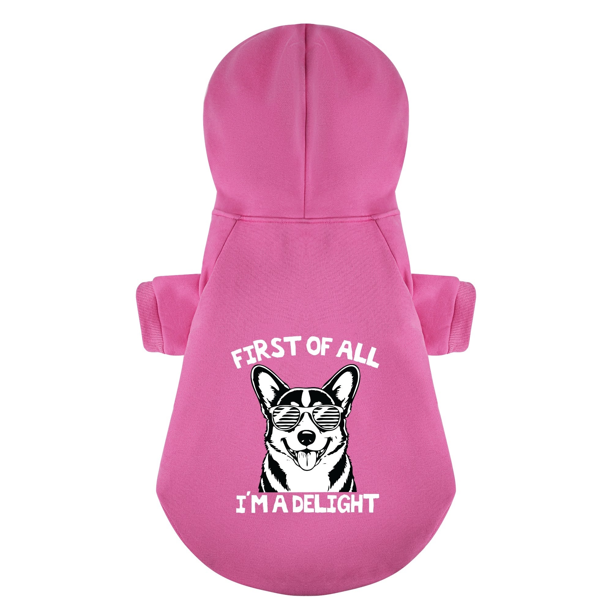 FIRST OF ALL I'M A DELIGHT - Corgi Hoodie - Dog Clothes