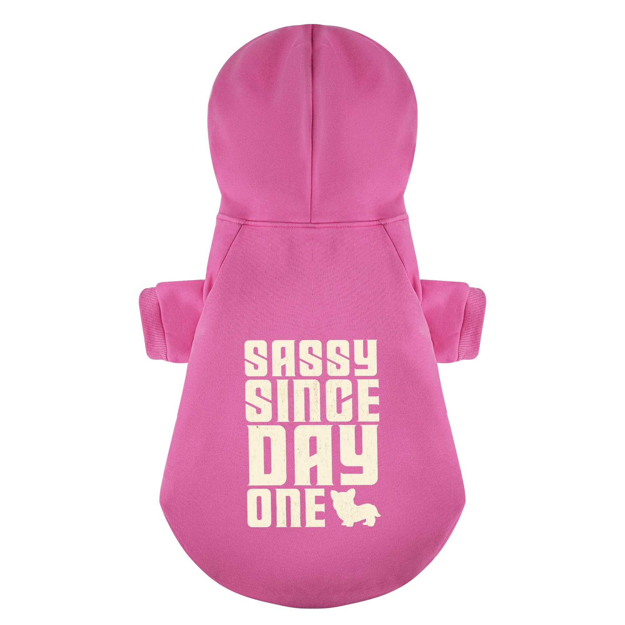 Sassy since day one - Corgi Hoodie - Dog Clothes