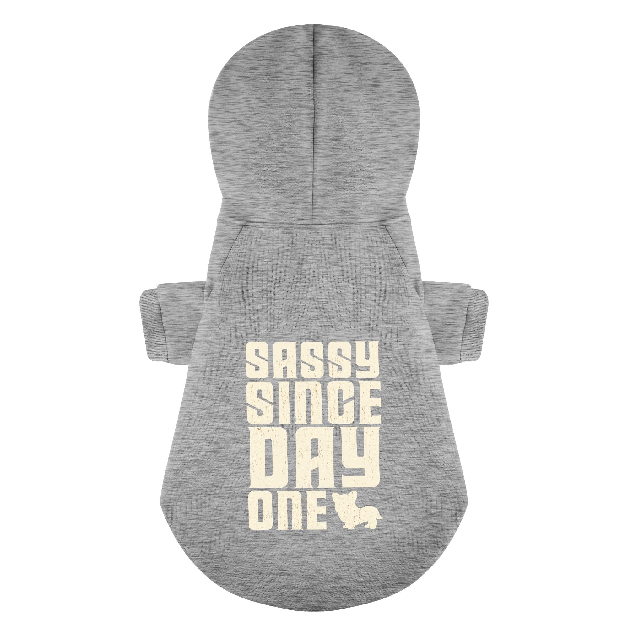 Sassy since day one - Corgi Hoodie - Dog Clothes