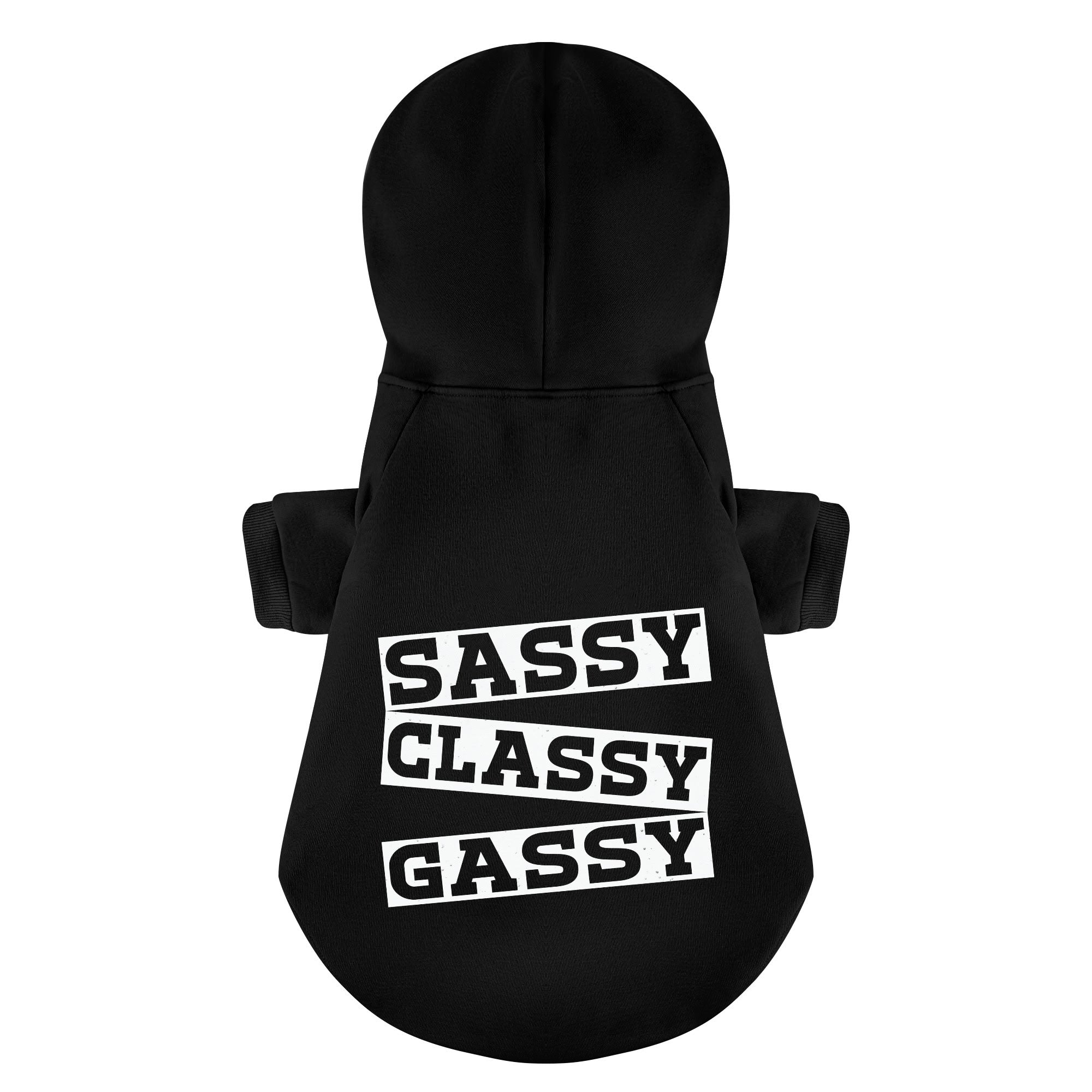 Sassy, Classy, Gassy – Dog Hoodie – Dog Clothes