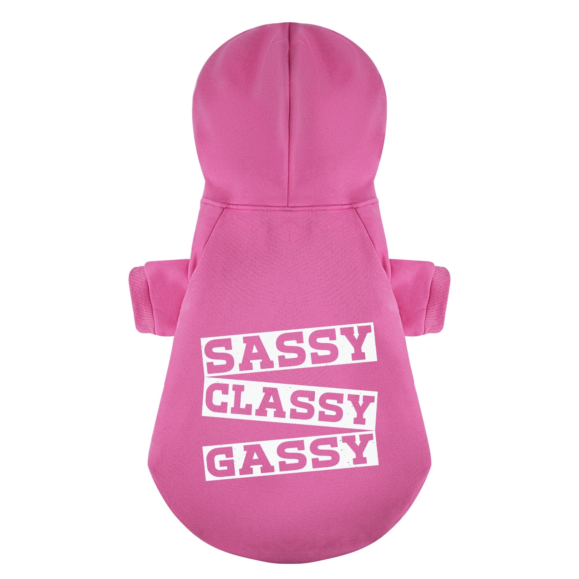 Sassy, Classy, Gassy – Dog Hoodie – Dog Clothes
