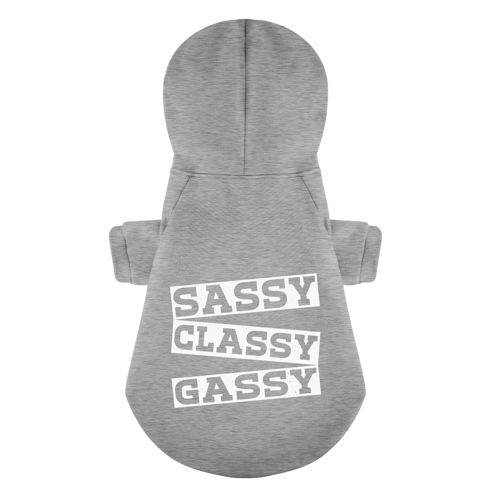 Sassy, Classy, Gassy – Dog Hoodie – Dog Clothes