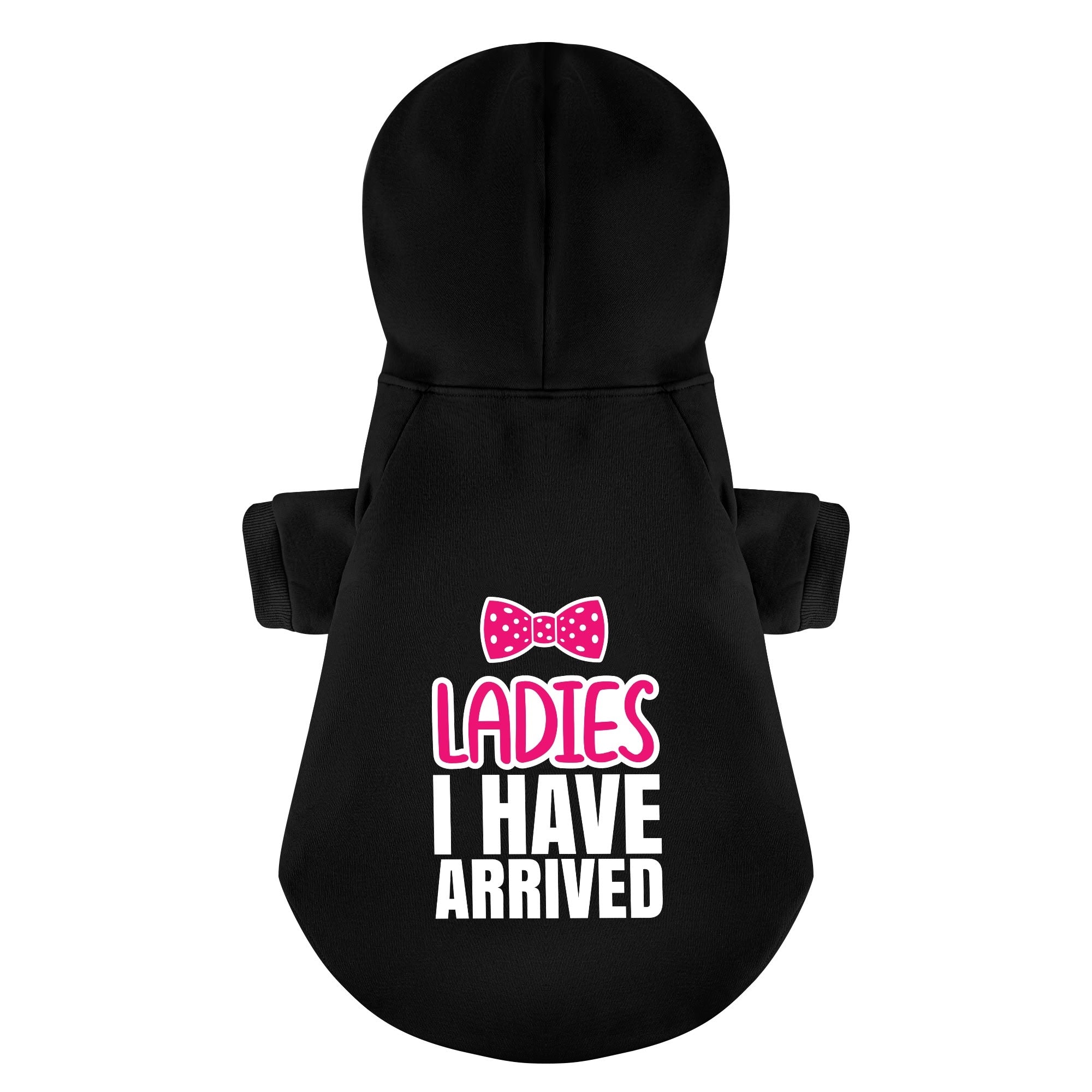 Ladies I HAVE ARRIVED – Dog Hoodie – Dog Clothes