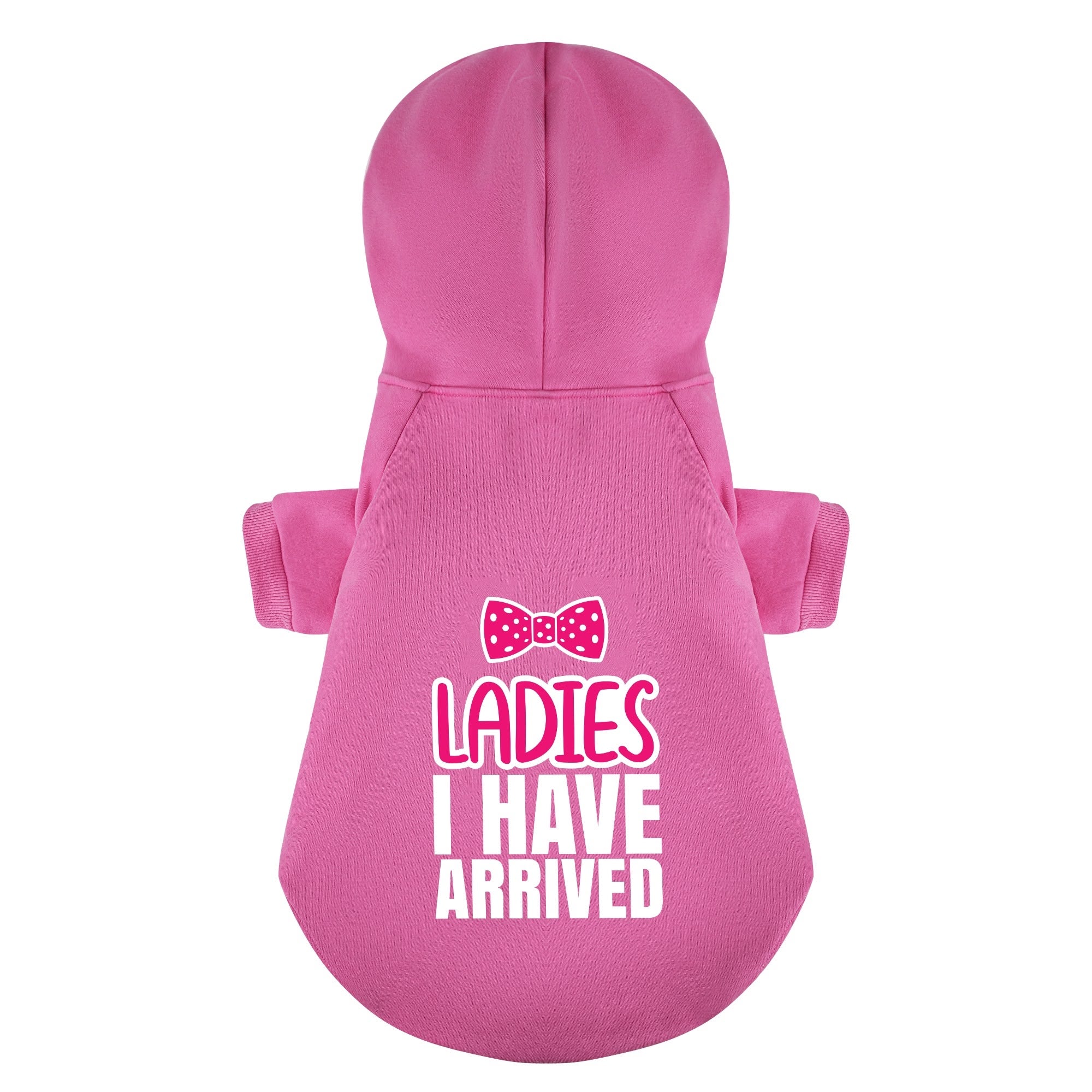 Ladies I HAVE ARRIVED – Dog Hoodie – Dog Clothes