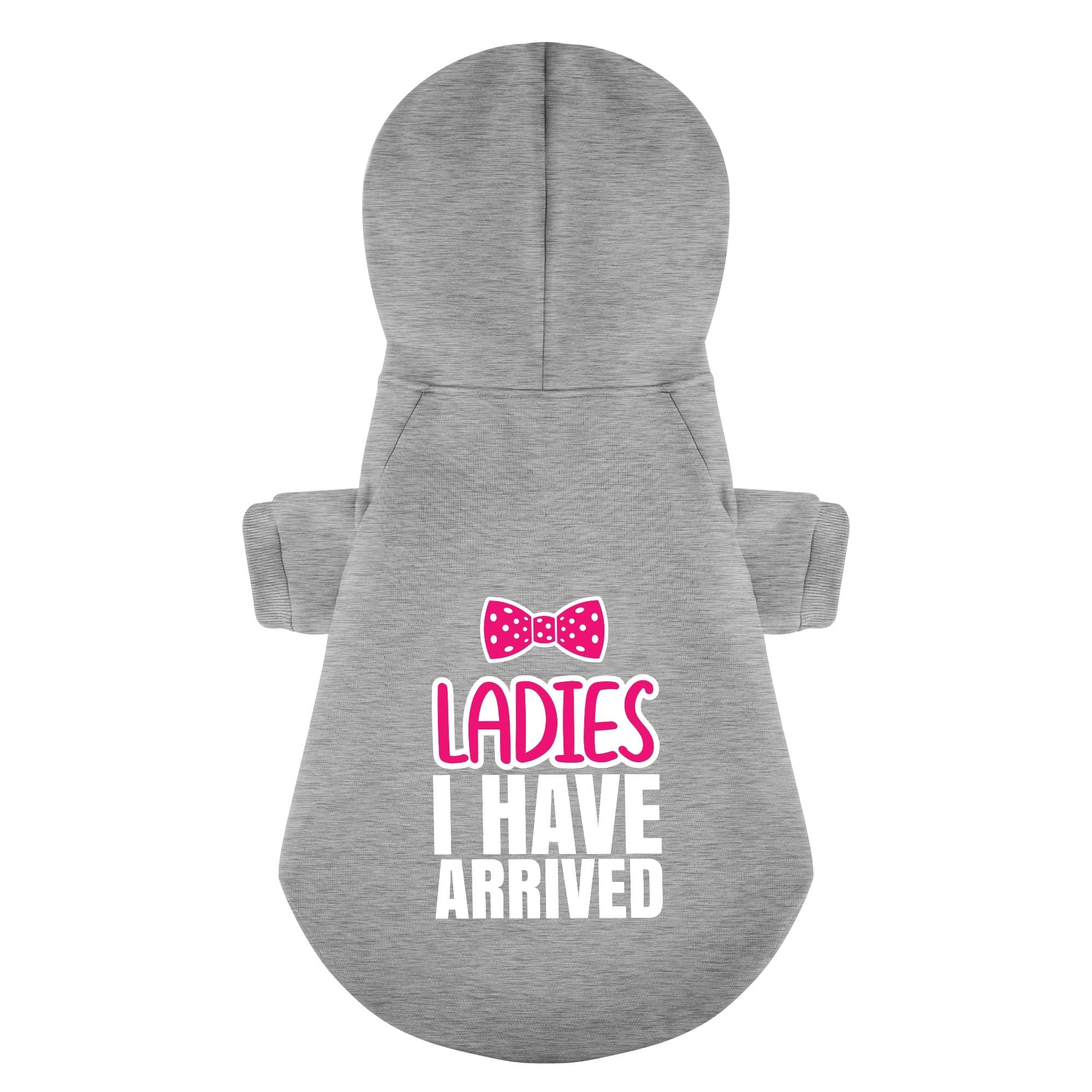 Ladies I HAVE ARRIVED – Dog Hoodie – Dog Clothes