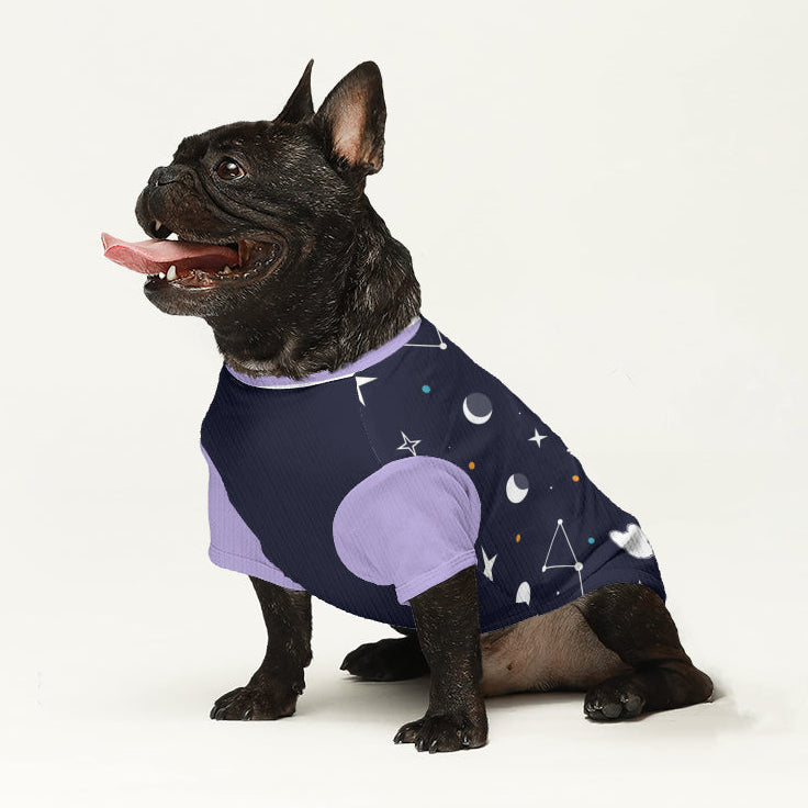 Murphy - Dog Wool Sweater