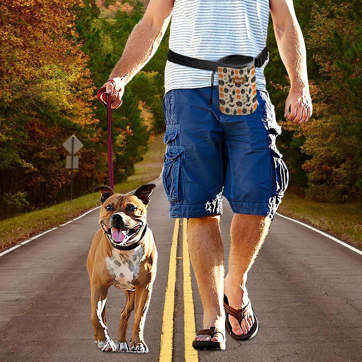 Roxy -  Dog Treat Pouch | Training Bag | Waist Clip | Bag Dispenser