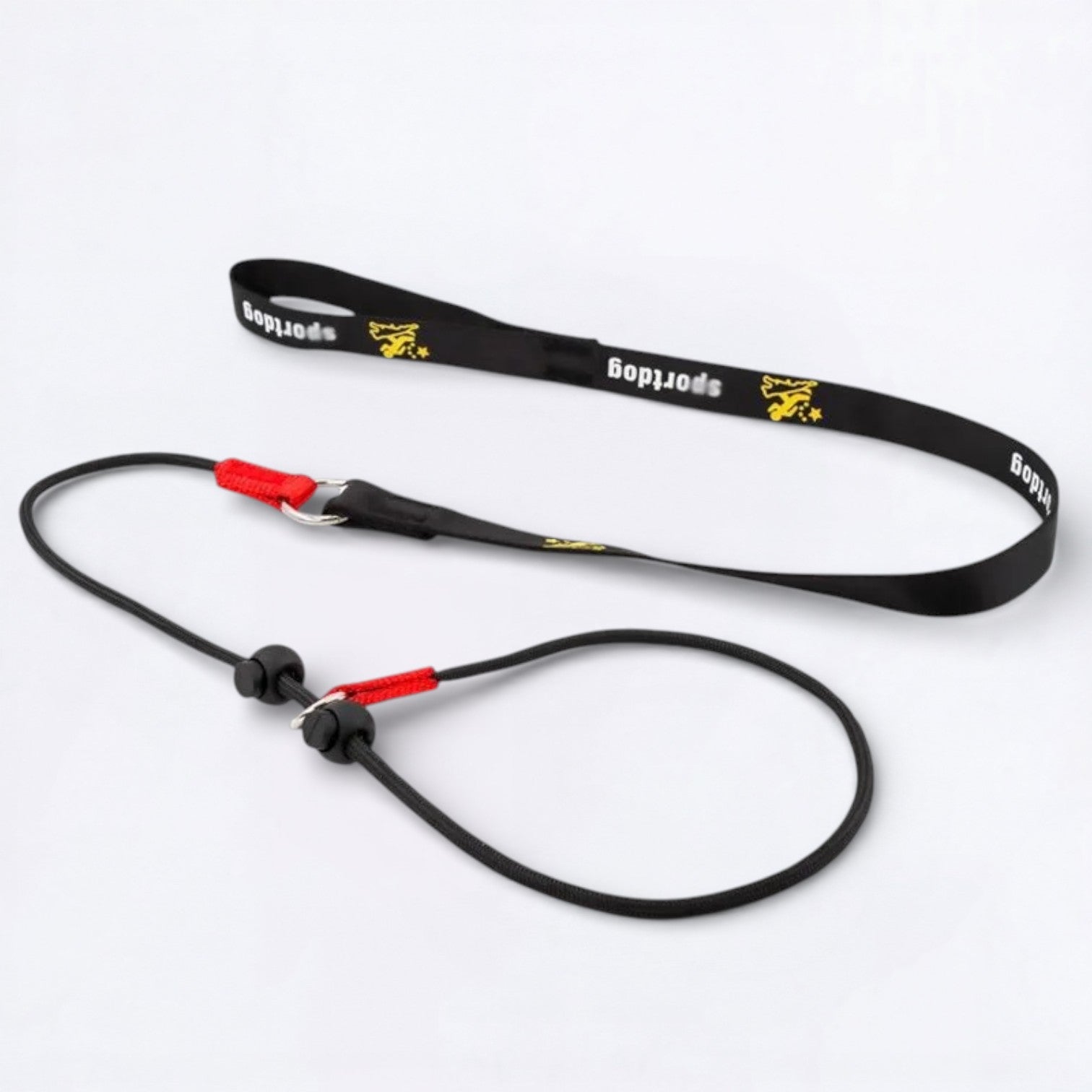 2-in-1-Training-Slip-Dog-Leash-Collar.jpg