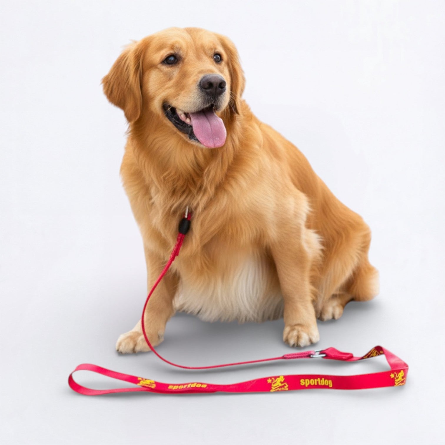 2-in-1-Training-Slip-Dog-Leash-Collar.jpg