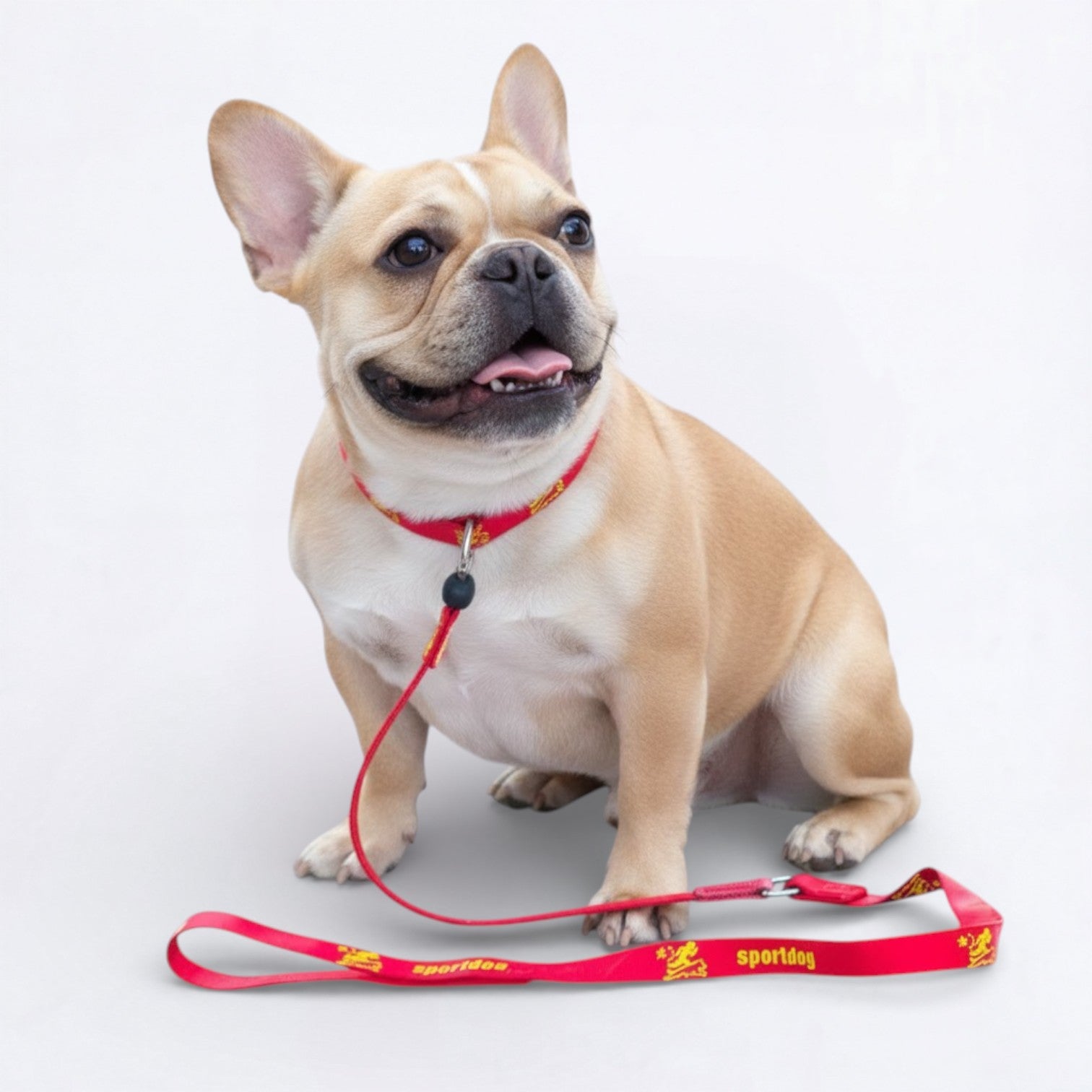 2-in-1-Training-Slip-Dog-Leash-Collar.jpg