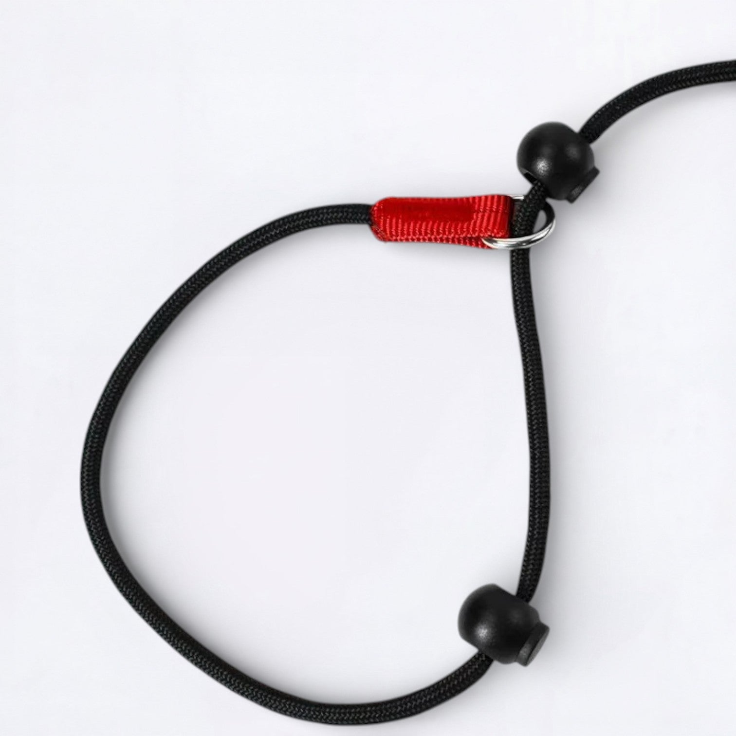 2-in-1-Training-Slip-Dog-Leash-Collar.jpg