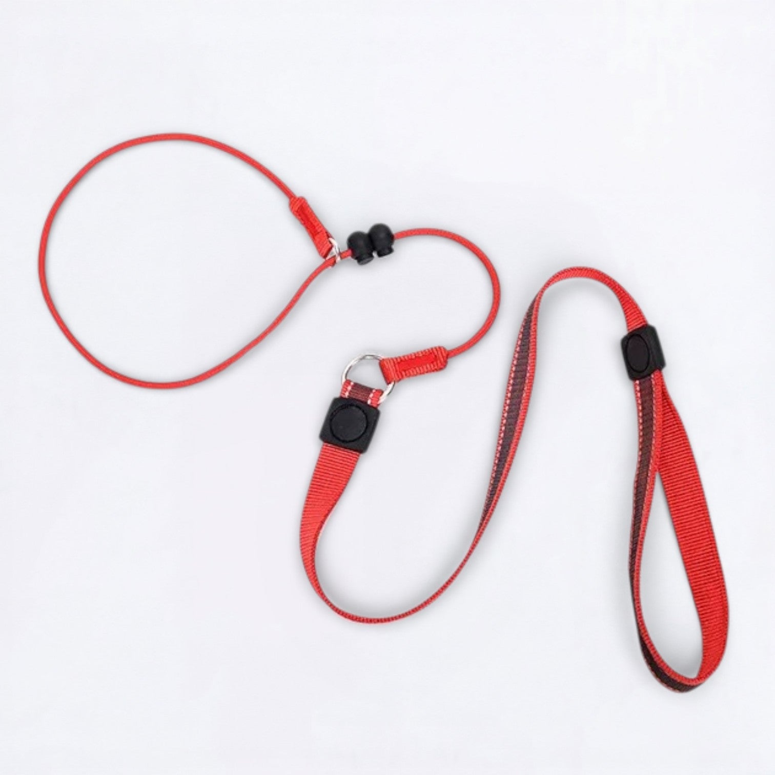 2-in-1-Training-Slip-Dog-Leash-Collar.jpg