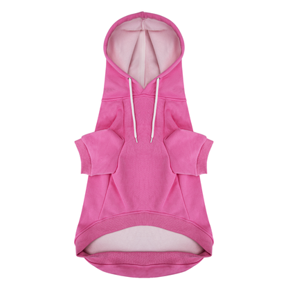 Did Someone Say Walk? - Labrador Hoodie - Dog Clothes