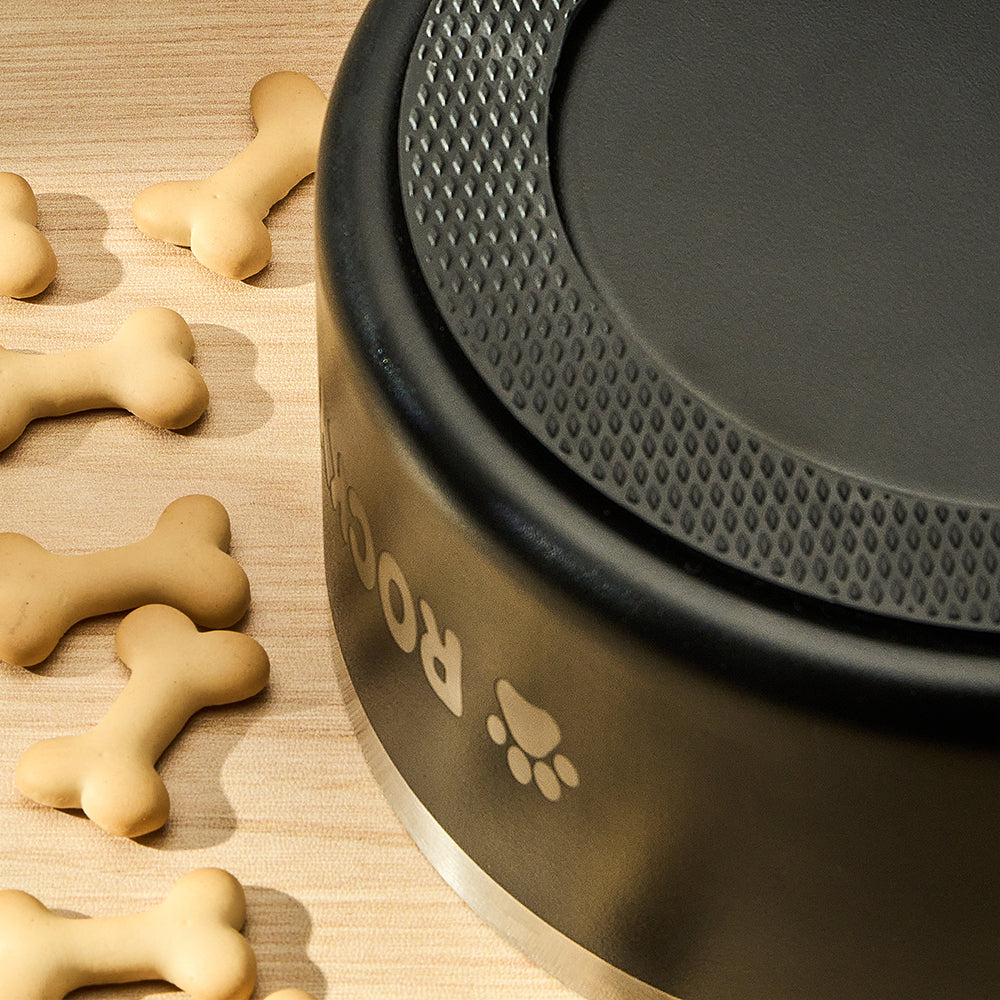 Personalized Dog Bowl Water Dish