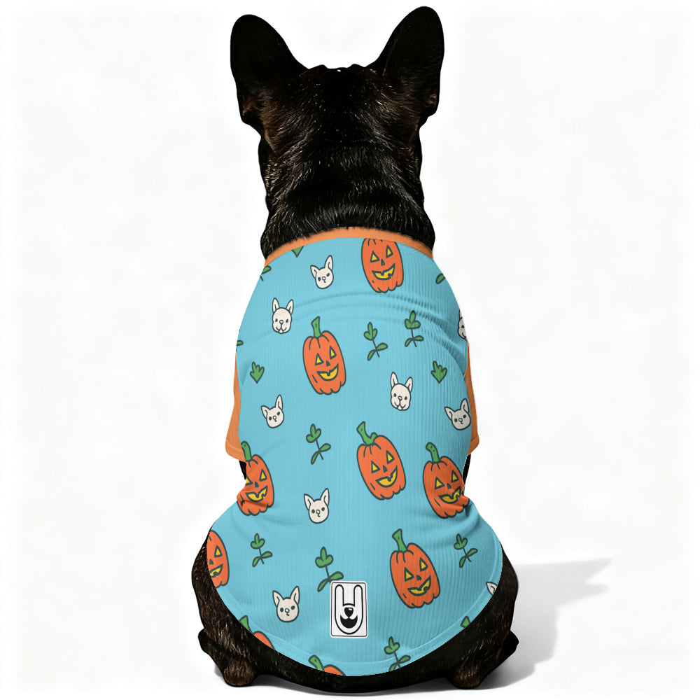 Sunny - Dog Wool Sweater