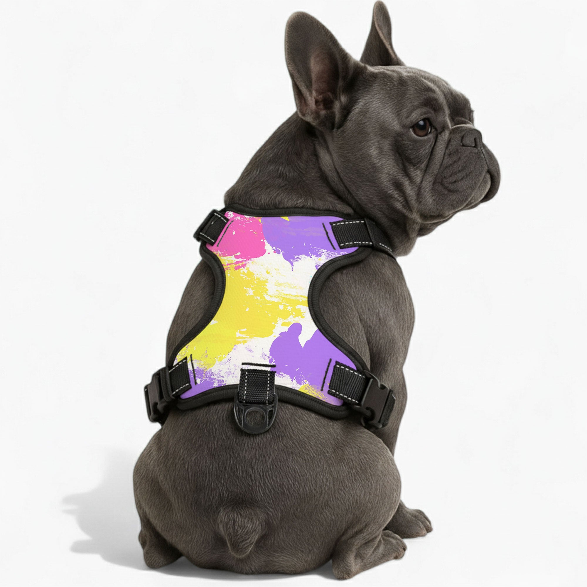 Rocco - NO-PULL Dog Harness & Leash Set | for small and large Dogs