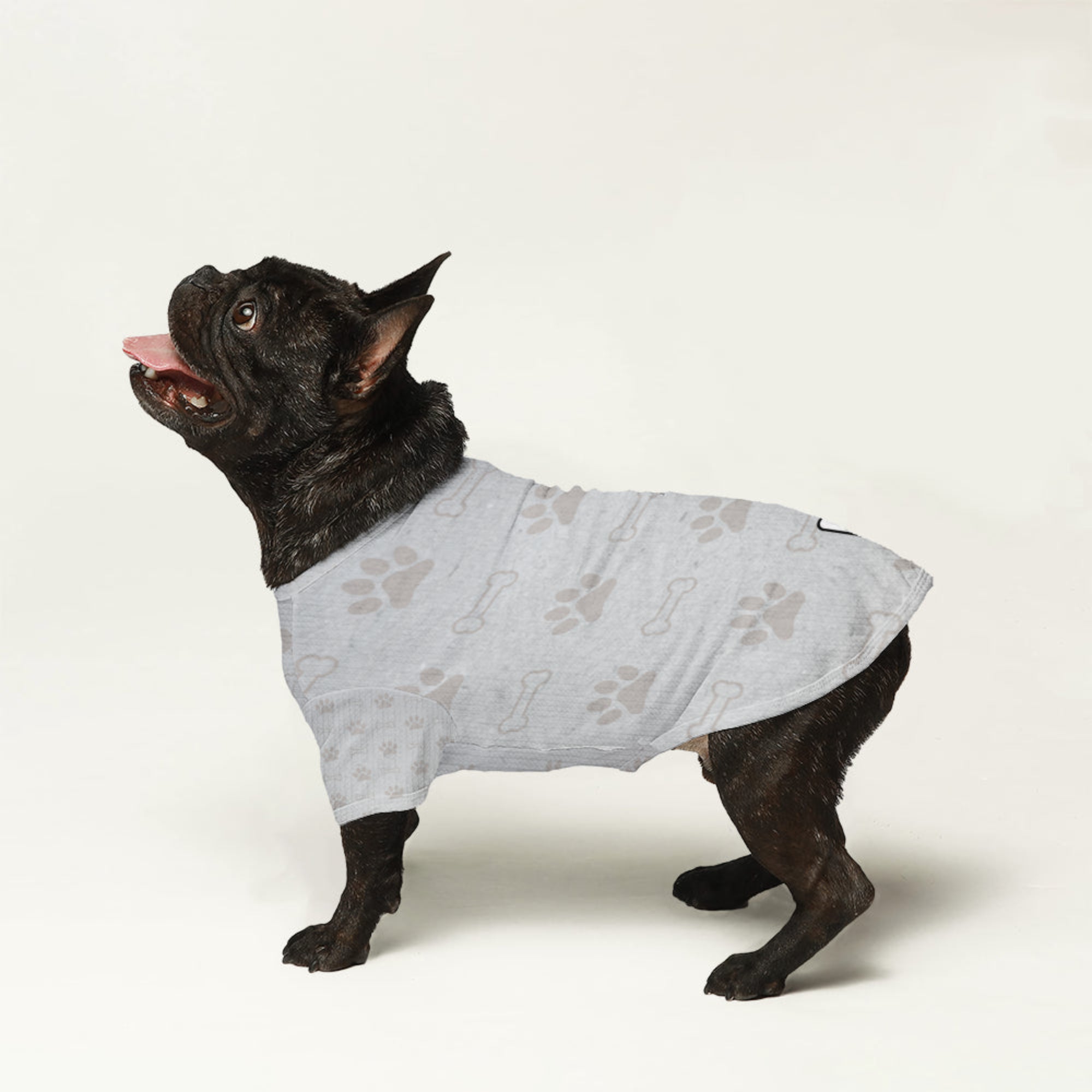 Cleo - Dog Wool Sweater