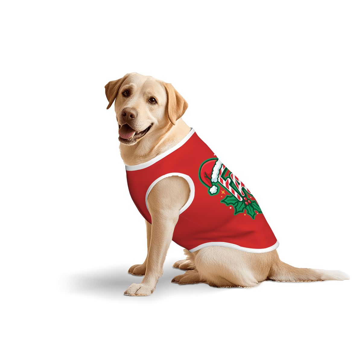 Fa La La Big Dog Shirt