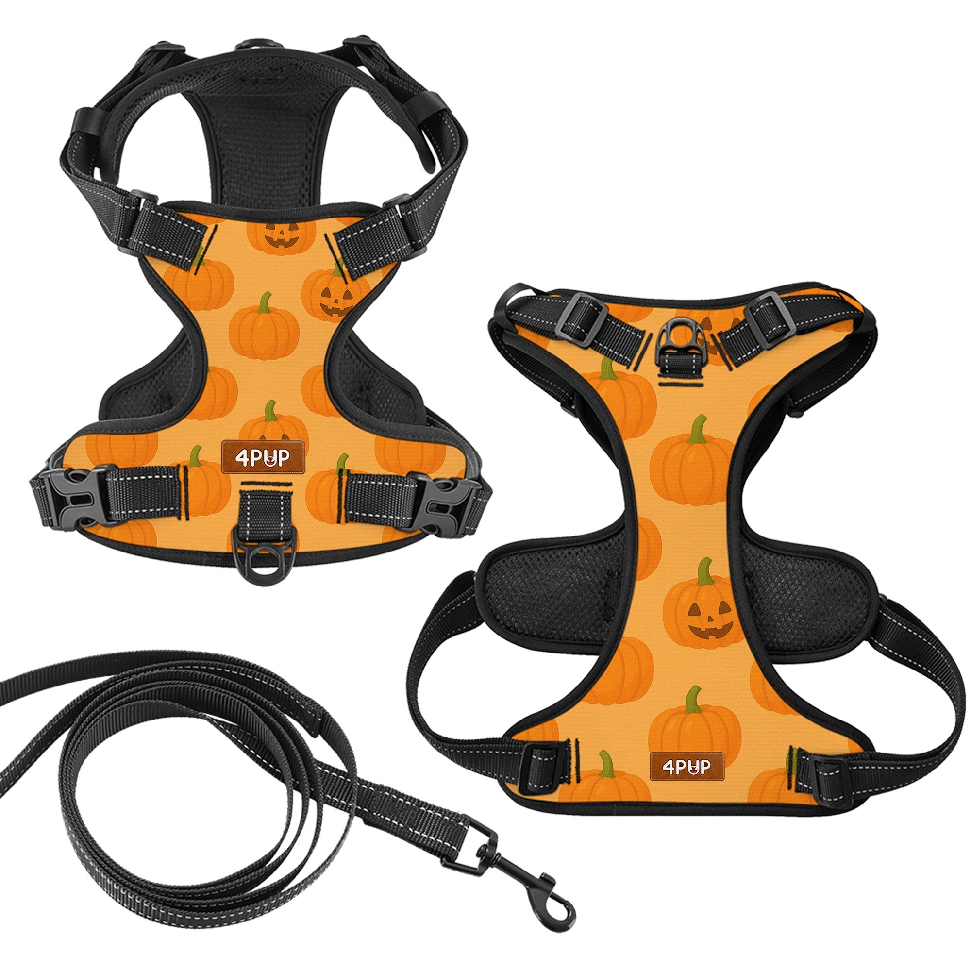 Jay  - NO-PULL Dog Harness & Leash Set | for small and large Dogs