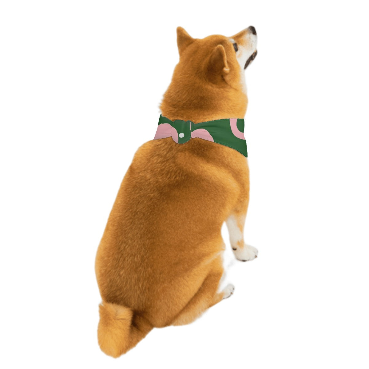 Atlas - Stylish Dog Bandana