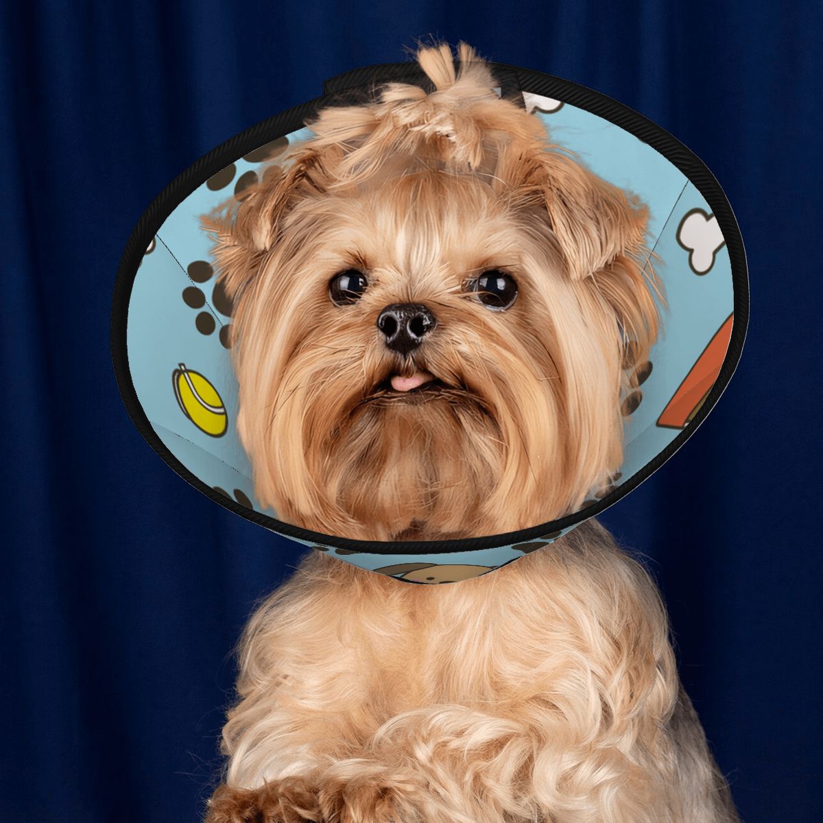 Teddy - Soft Dog Cone & Elizabethan Collar