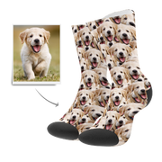 Custom Casual Socks – Fun Personalized Dog Lover Gift