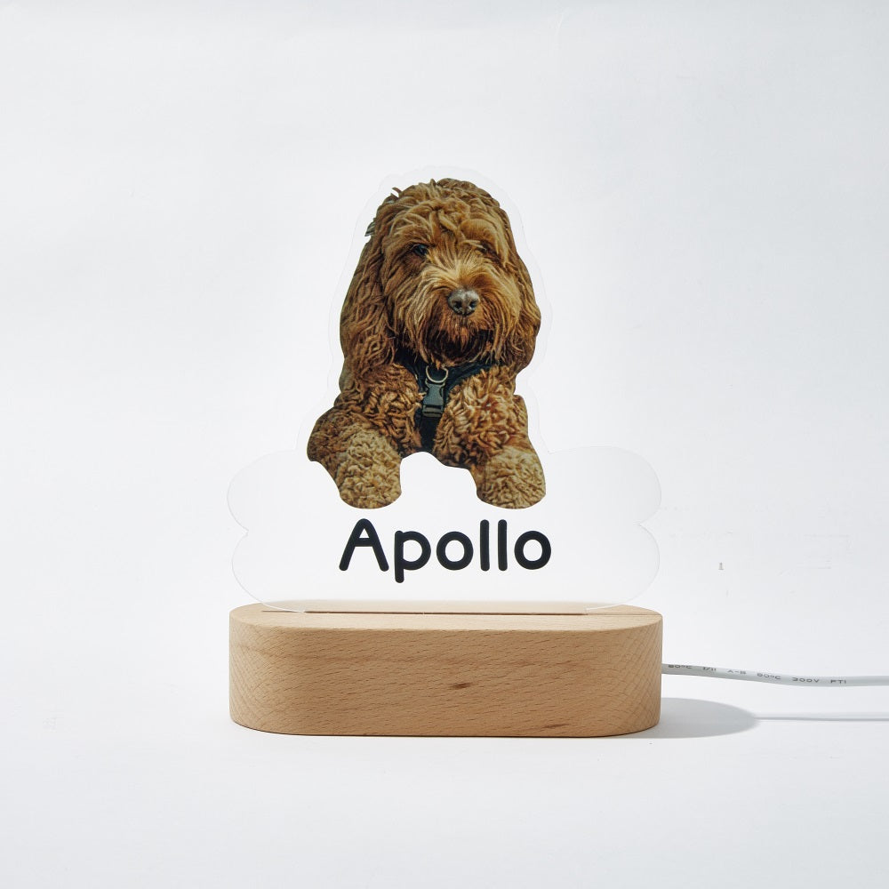 Custom Dog Night Light – Bone-Shaped Acrylic Plaque with LED Base