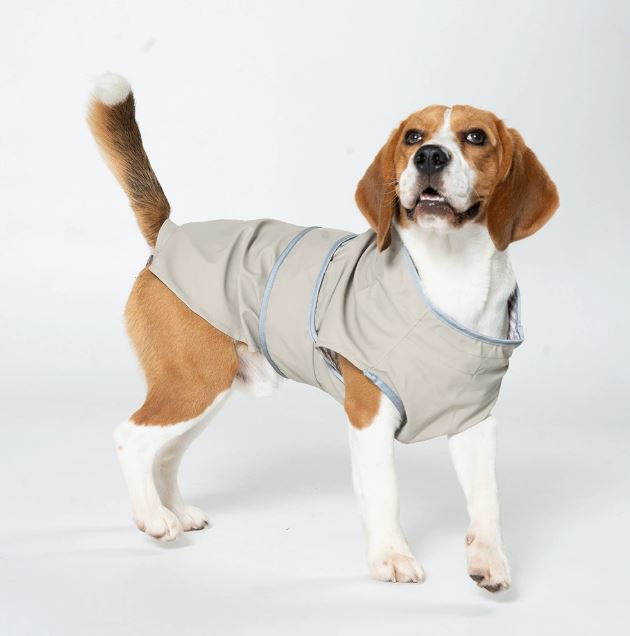 Heavy-Duty Outdoor Dog Coat