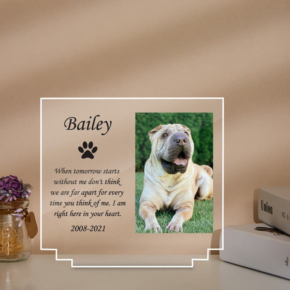 Personalized Dog Night Light – Custom Acrylic Lamp with Wooden Base
