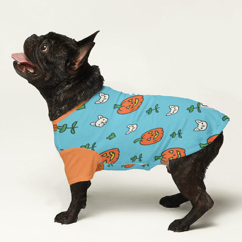 Sunny - Dog Wool Sweater