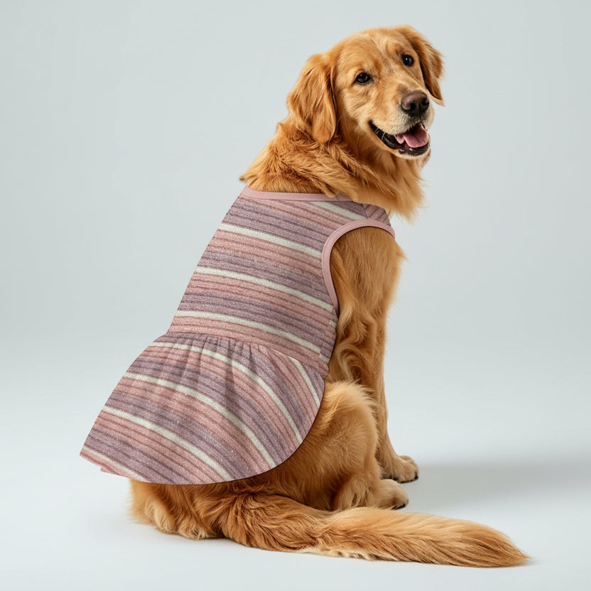 Vintage Stripe Large Dog Ruffle Dog Dress
