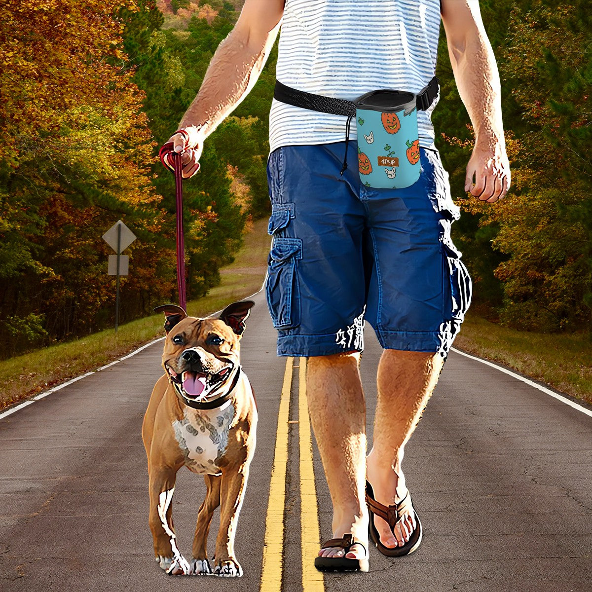 Ozzy -  Dog Treat Pouch | Training Bag | Waist Clip | Bag Dispenser