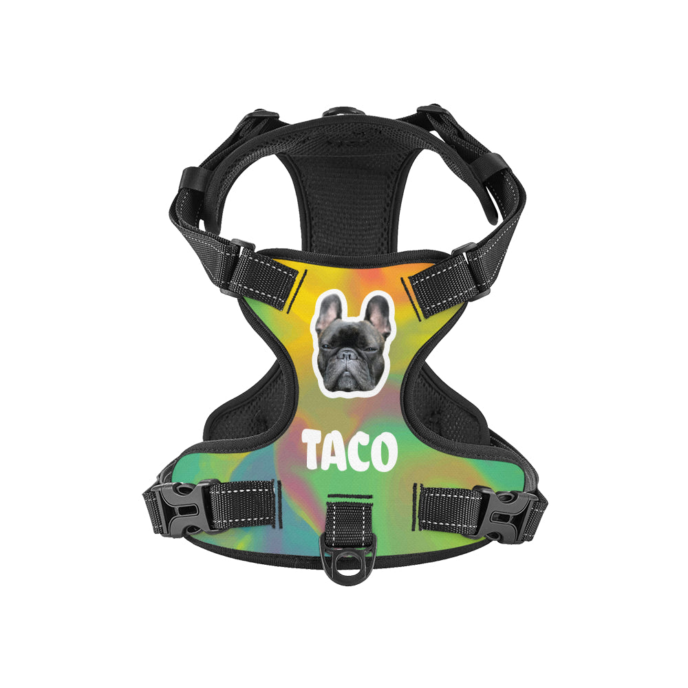Titania - Custom Dog harness