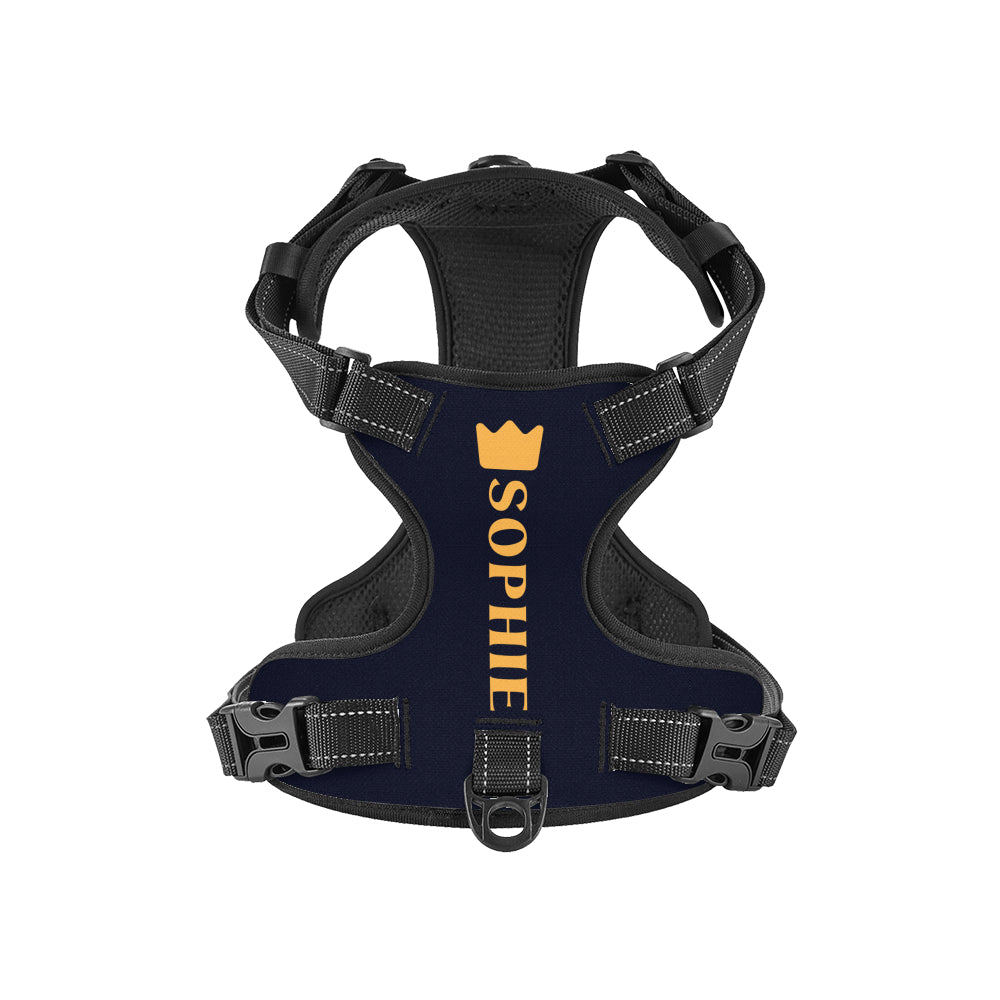 Rune - Custom Dog harness