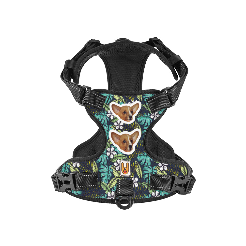 Kona - Custom Dog harness