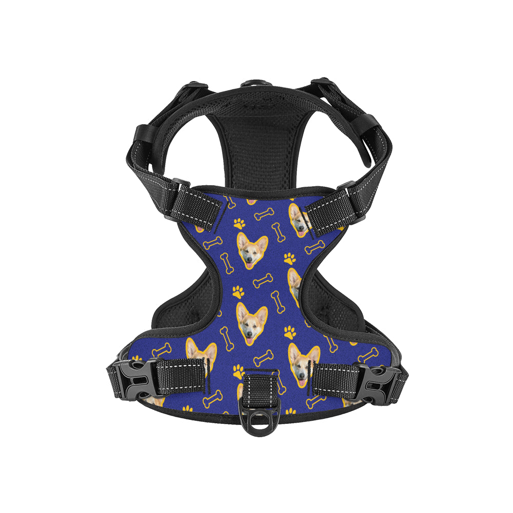 Comet - Custom Dog harness