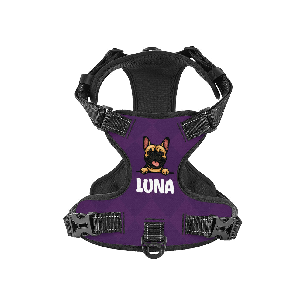 Xander - Custom Dog harness