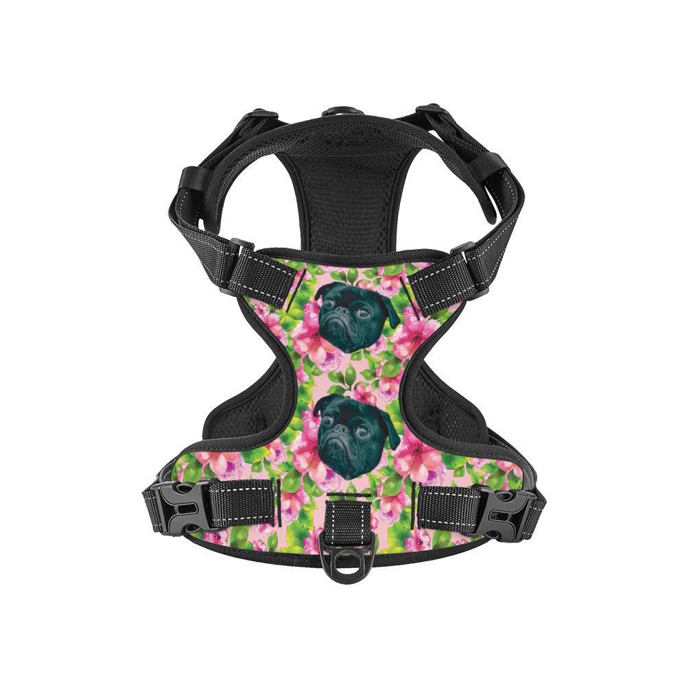 Haley - Custom Dog harness