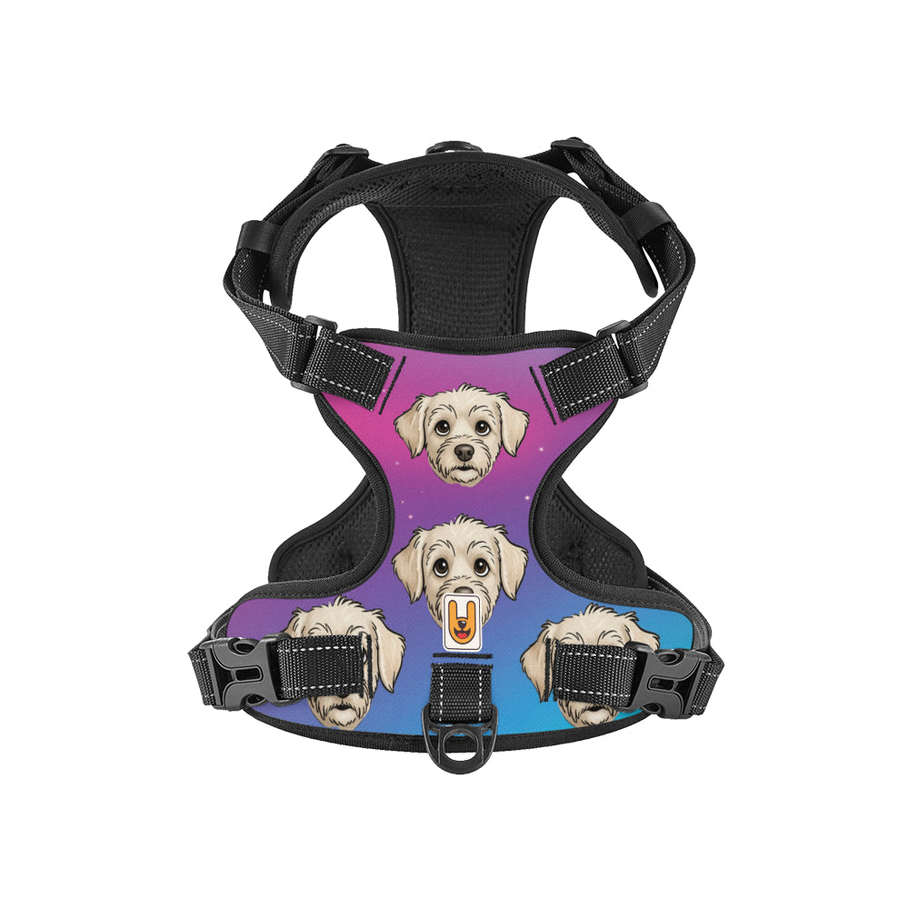 Storm - Custom Dog harness