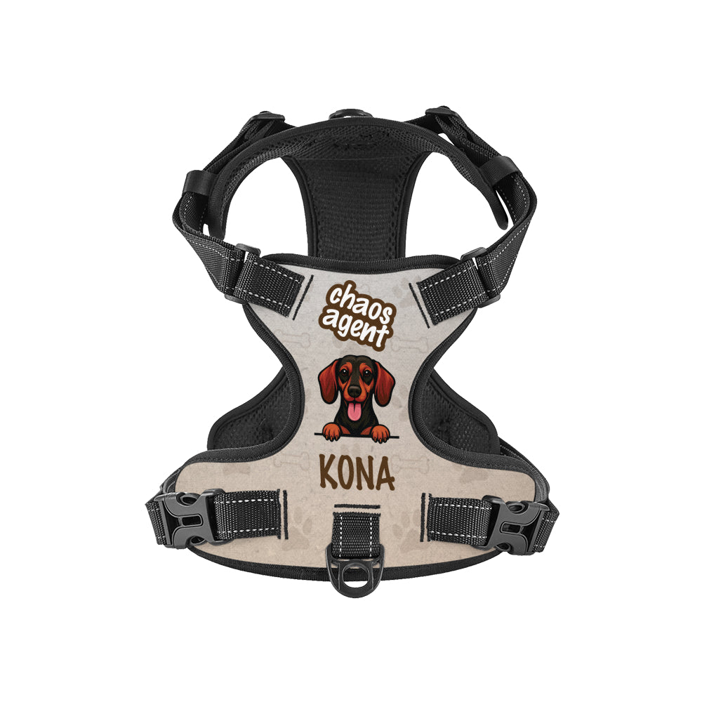 Kong - Custom Dog harness