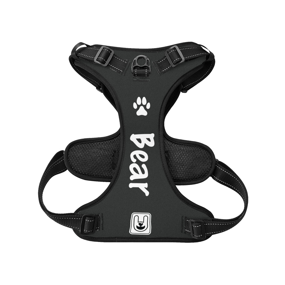 Prada - Custom Dog harness