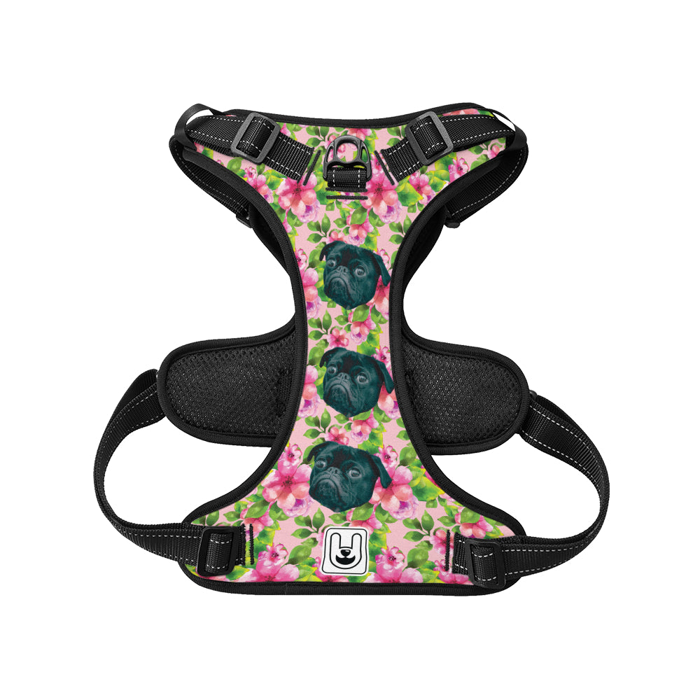 Haley - Custom Dog harness