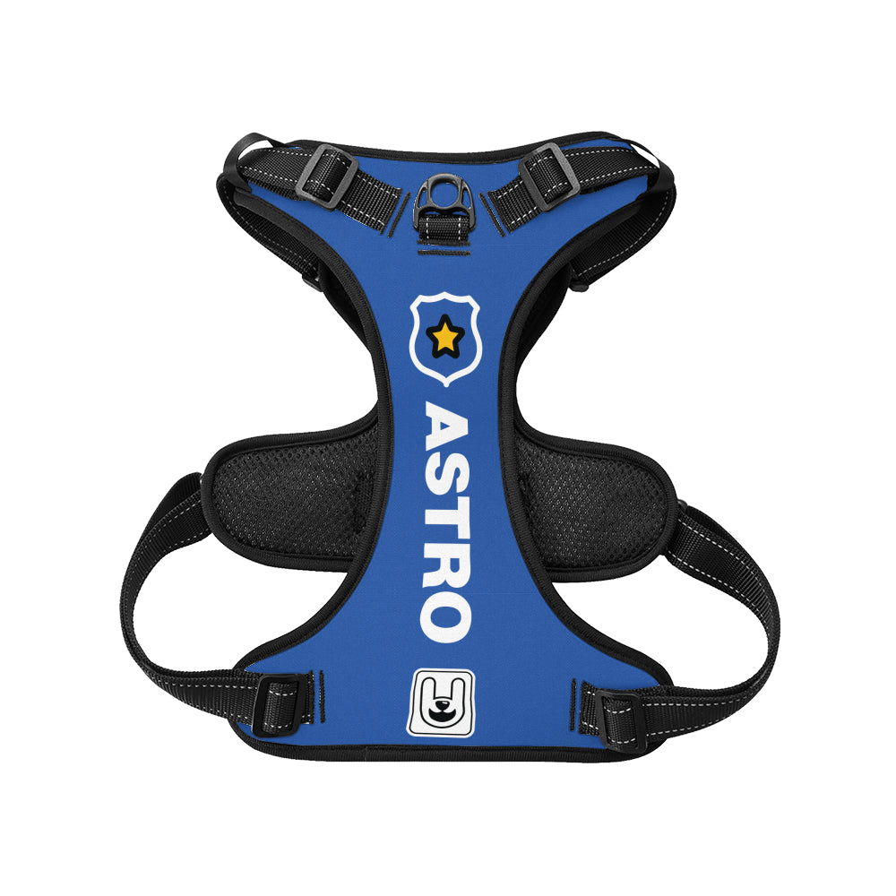 Mango - Custom Dog harness