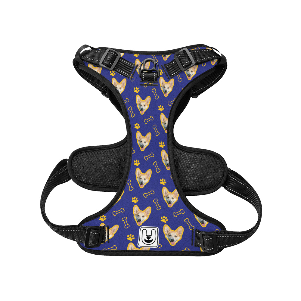Comet - Custom Dog harness