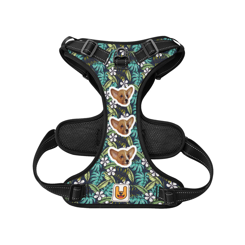 Kona - Custom Dog harness
