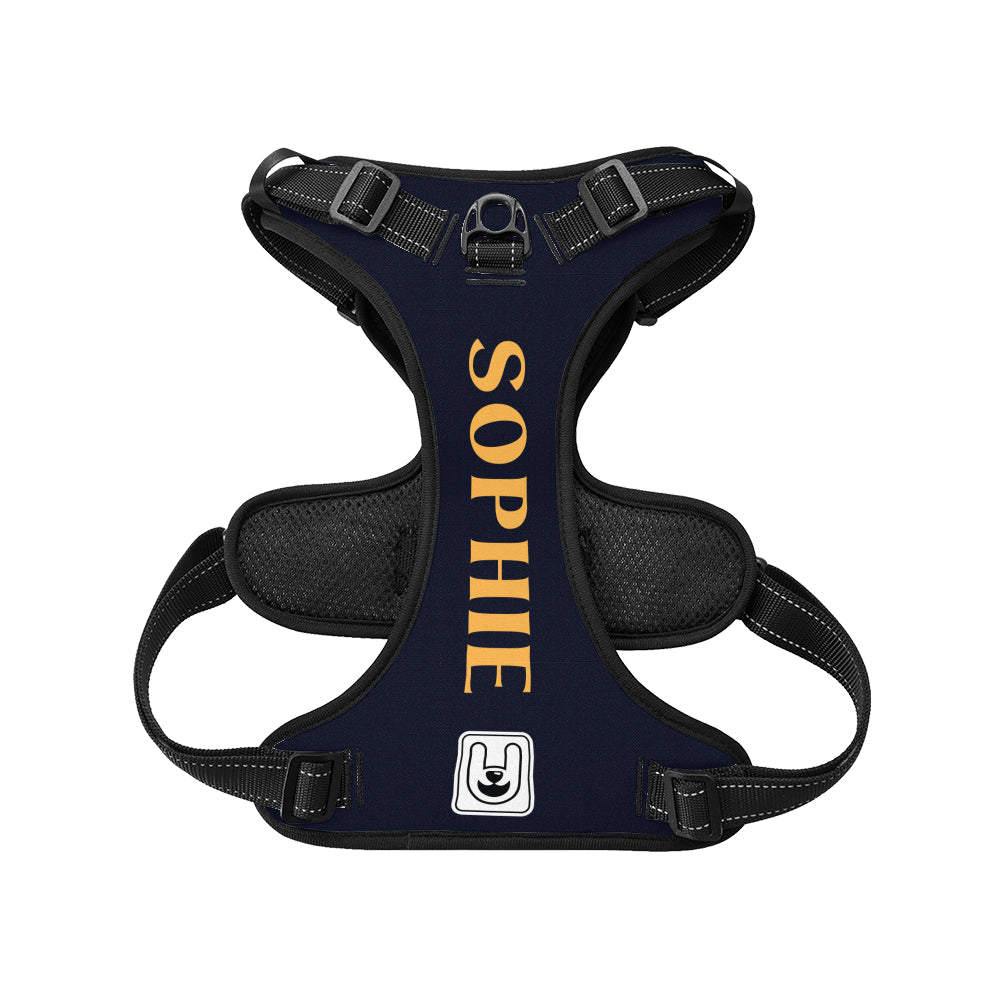 Rune - Custom Dog harness