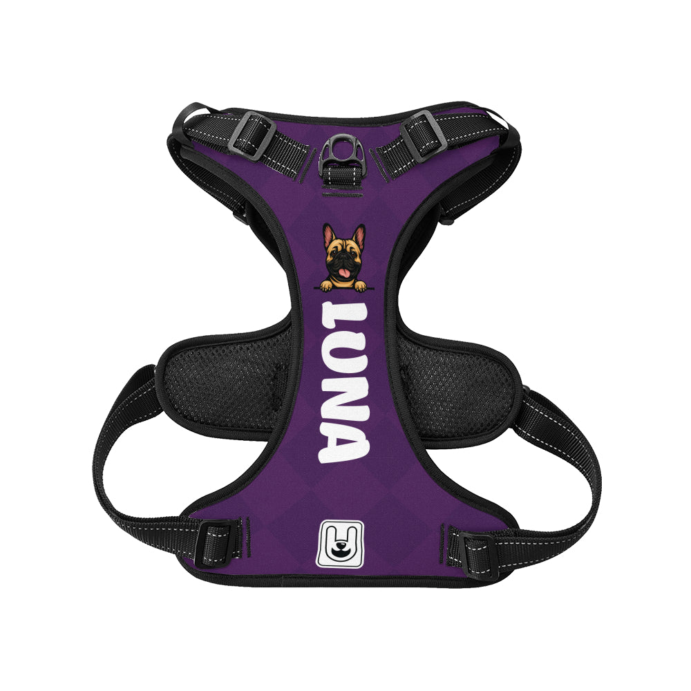 Xander - Custom Dog harness